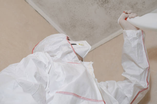 Professional Mold Remediation in Clermont, FL